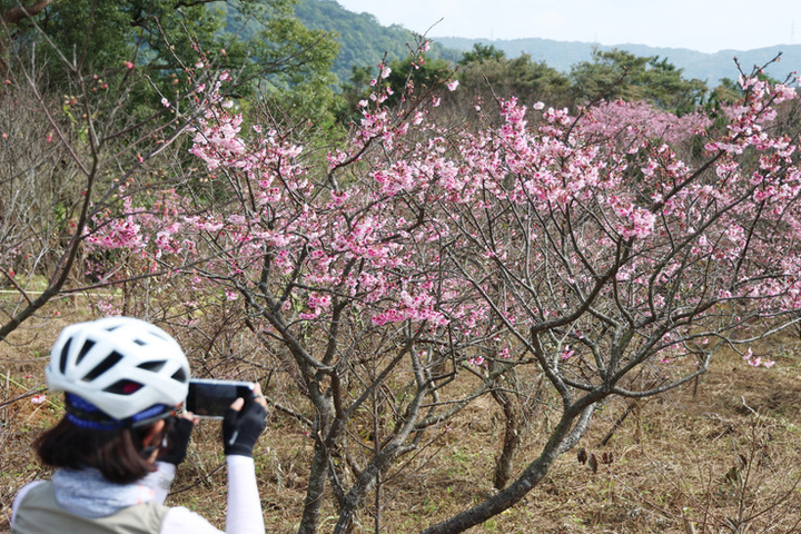 北東零星雨中南部高溫可達28度　周二起明顯降溫