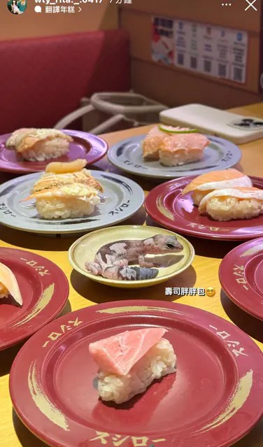 日前一名元智大學女大生違反規定將寵物蜥蜴（守宮）帶進壽司郎用餐，還將蜥蜴放置於醬料盤中擺拍。圖/翻攝自Dcard