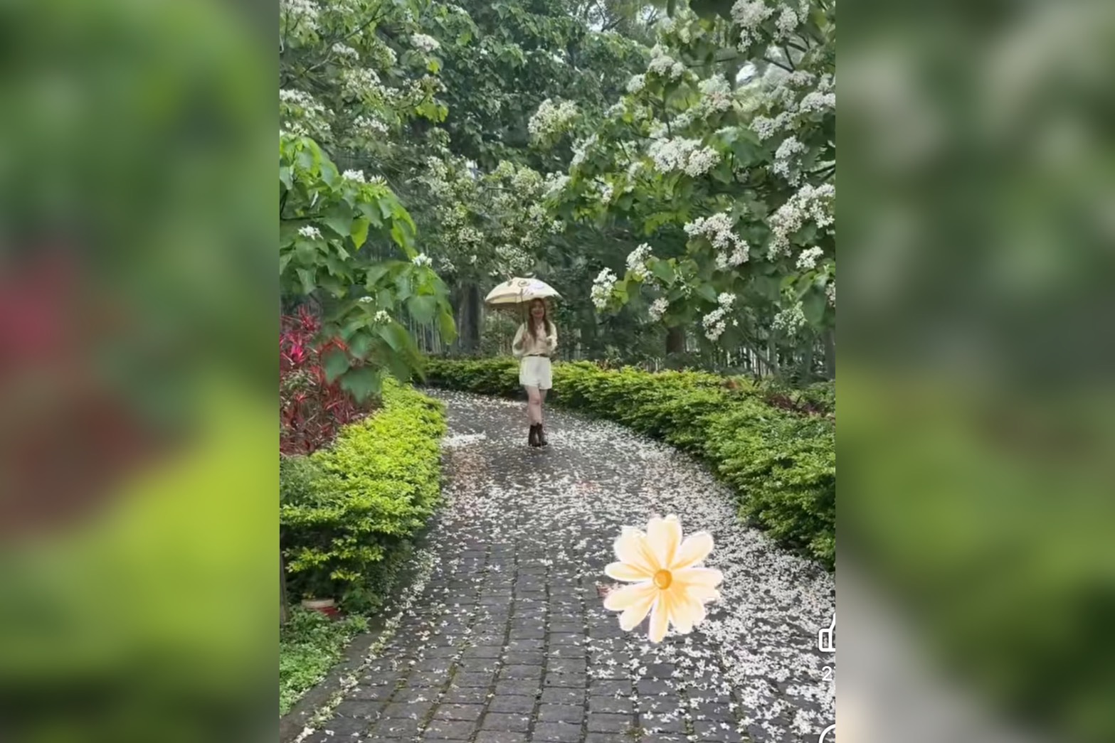 今年姜太公客家大院的桐花季主題為「伯公仔桐花嘉年華」。圖/取自苗栗玩透透臉書