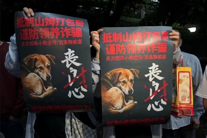 鋸牙、剪尾、虐殺　重慶「打包哥」遭控假領養、真虐待貓狗