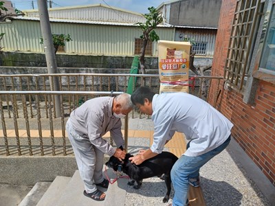 就算寵物貓狗平時不出門也須施打狂犬病疫苗，若被抽查到將進行裁罰。圖/取自台中市政府網站