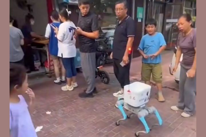 山東聊城一隻機器狗在街頭「排隊買燒餅」。圖/取自微信影片