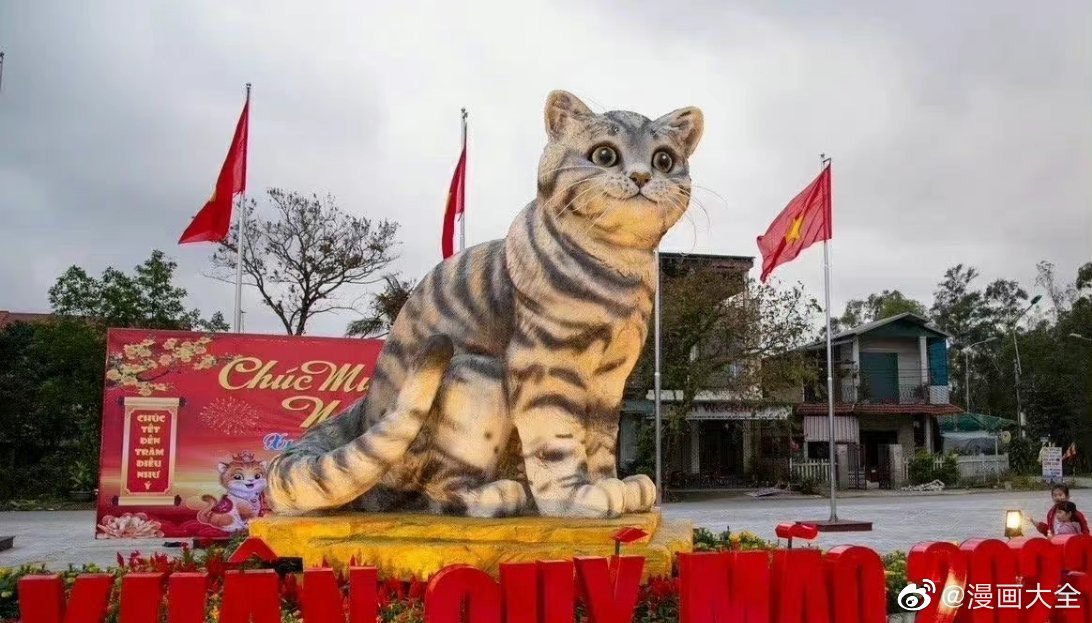 每逢貓年，越南街頭洋溢貓主題裝飾。圖/取自漫畫大全微博