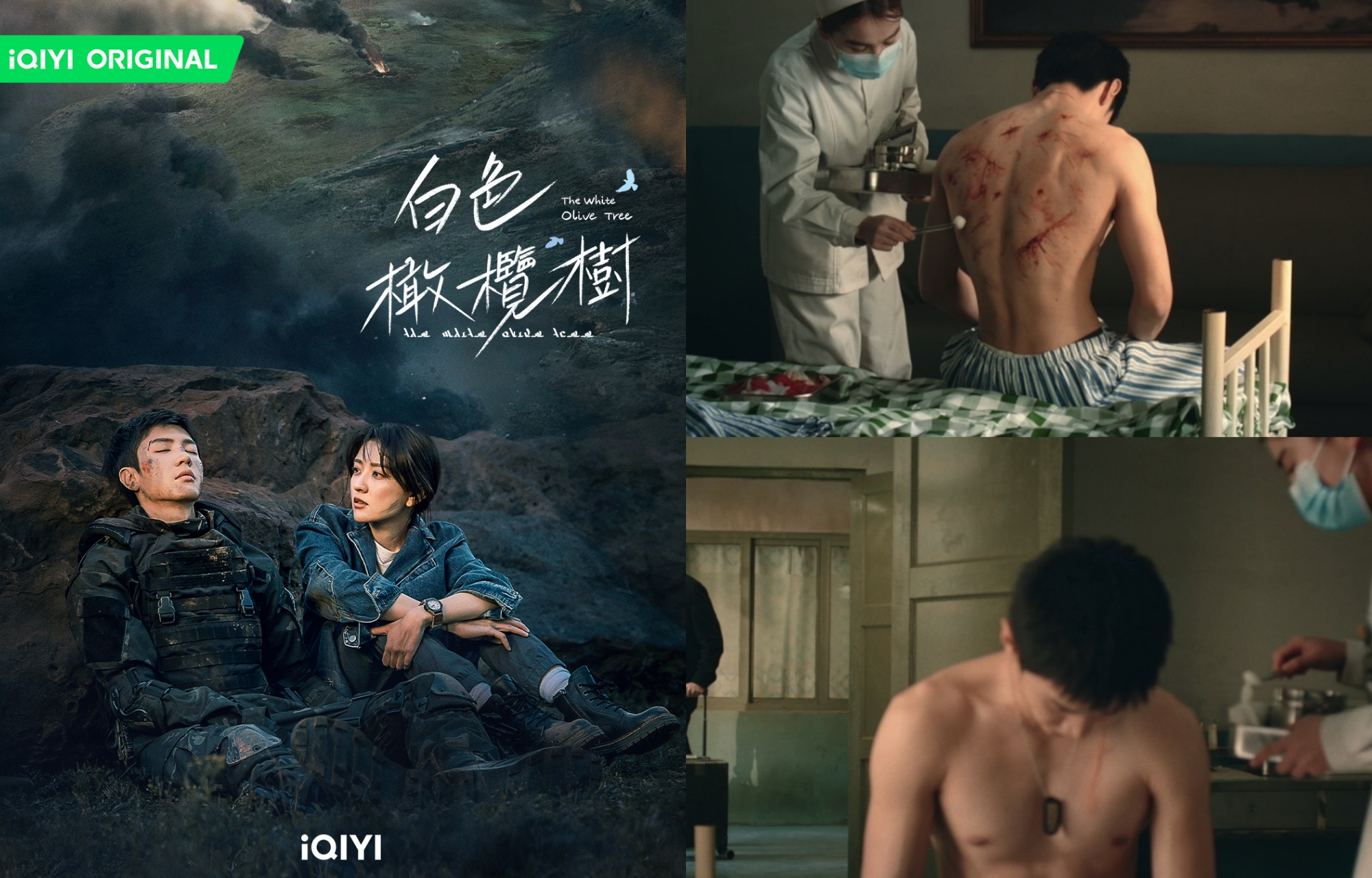 《白色橄欖樹》日前播出大結局，在中國貓眼熱度榜奪下亞軍，陳哲遠更為戲下足功夫，勤健身練出倒三角背肌跟精實胸肌。圖/iQIYI愛奇藝國際版提供