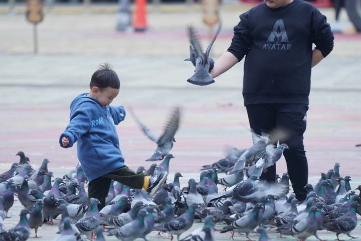 今天各地天氣穩定溫暖，適合戶外活動。圖/取自中央社
