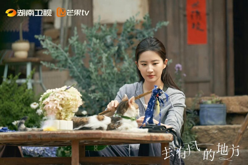 劉亦菲主演的《去有風的地方》開播一年多以來，仍是上班族一刷再刷的療癒好劇。圖/取自該劇微博