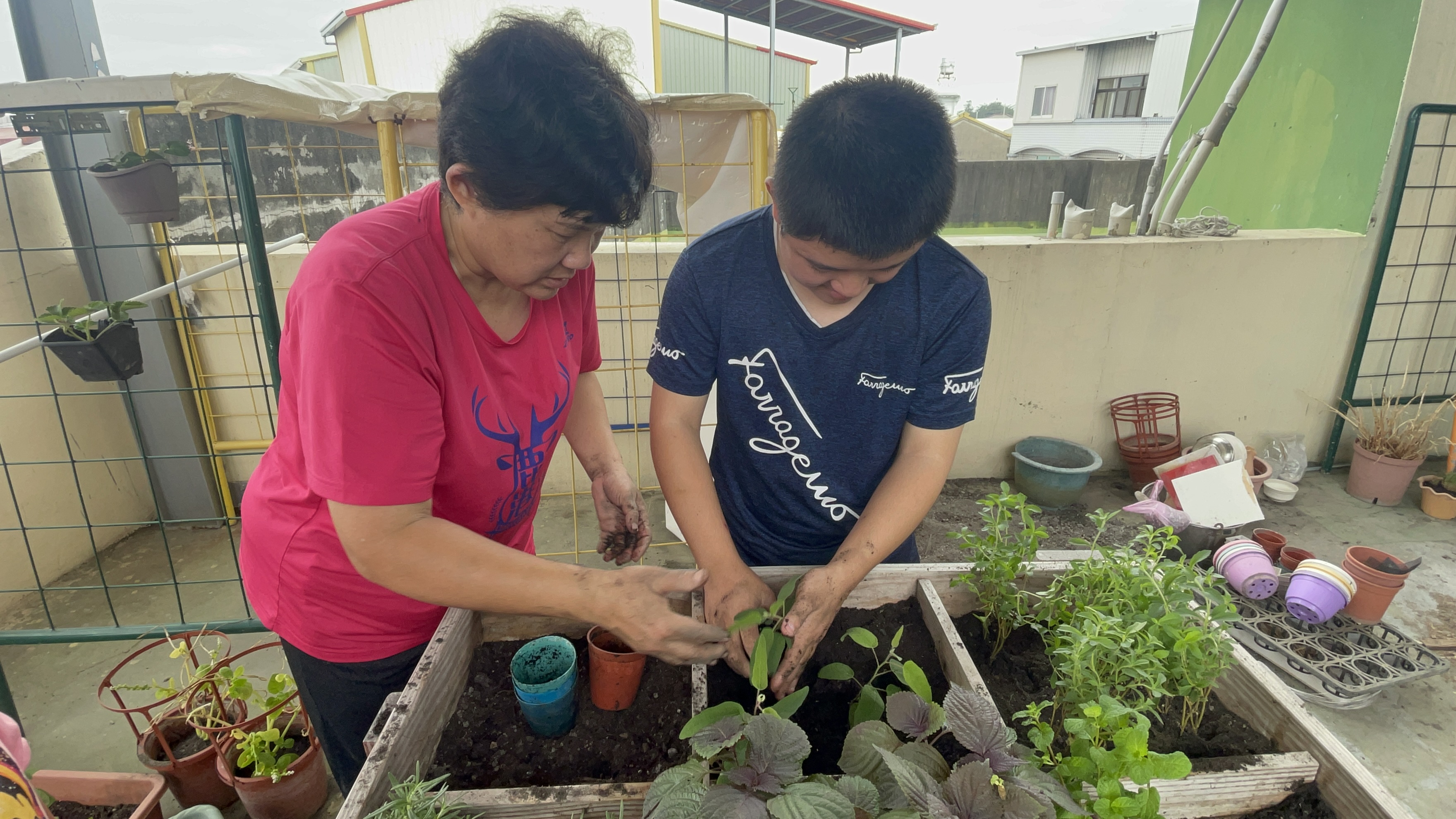 獲捐助經費的「憨直人小作所」，教導學員親手種植香草植物與花卉，提供學員職業訓練及工作機會。圖/頂新和德文教基金會提供