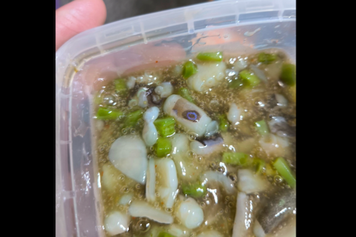 一名男子在臉書上分享自己吃了藍環章魚（中）的經驗。圖／取自臉書＿林小偉
