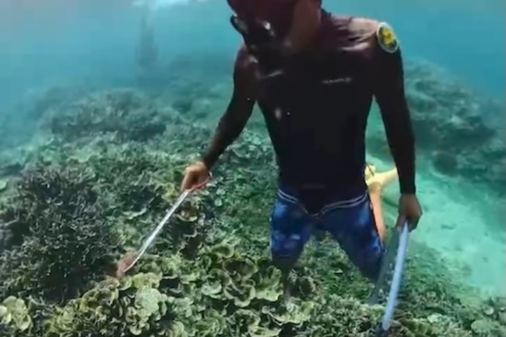 海保署感謝民眾熱情參與棘冠海星行動。圖／澎湖縣水域遊憩活動商業同業公會提供