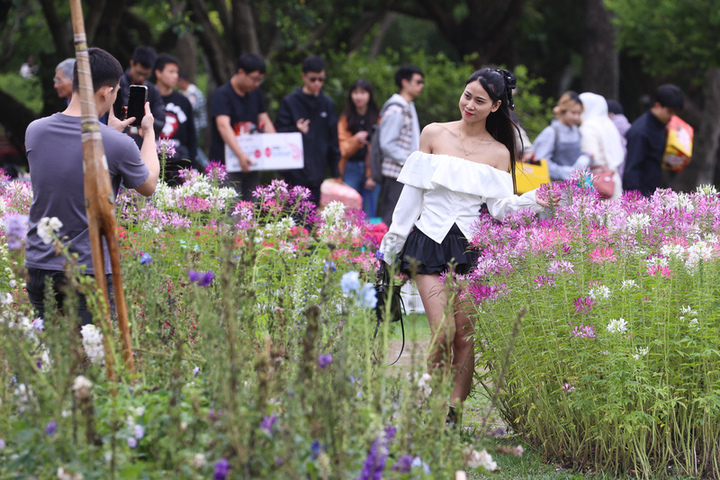 周四前天氣穩定溫暖。圖為民眾到台北市大安森林公園踏青，在花海中取景拍照，取自中央社
