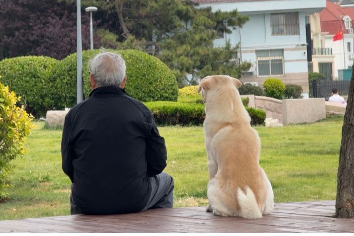 老年人因家庭結構改變、子女不在身邊而選擇養寵物作伴。圖/取自椰汁耶耶耶微博