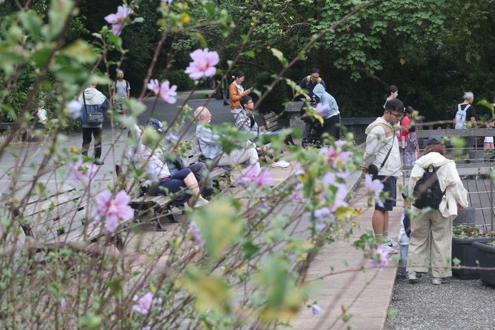 受東北季風影響,北部普遍低溫整天濕涼。圖為台北市降雨停歇,民眾在植物園休憩/取自中央社