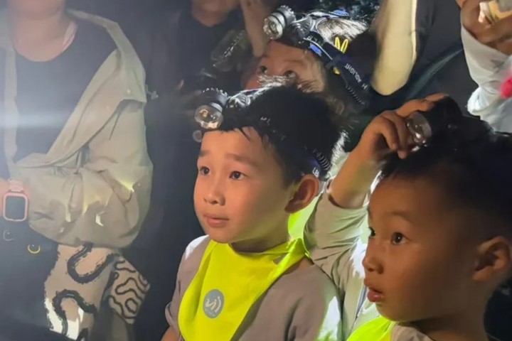「孩子們，關頭燈啦！」才能與夜遊活動的最大看點——螢火蟲，歡喜相逢。圖/取自上海濱江森林公園