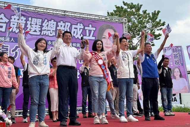 謝龍介籲台南市長換人　綠營推配票策略