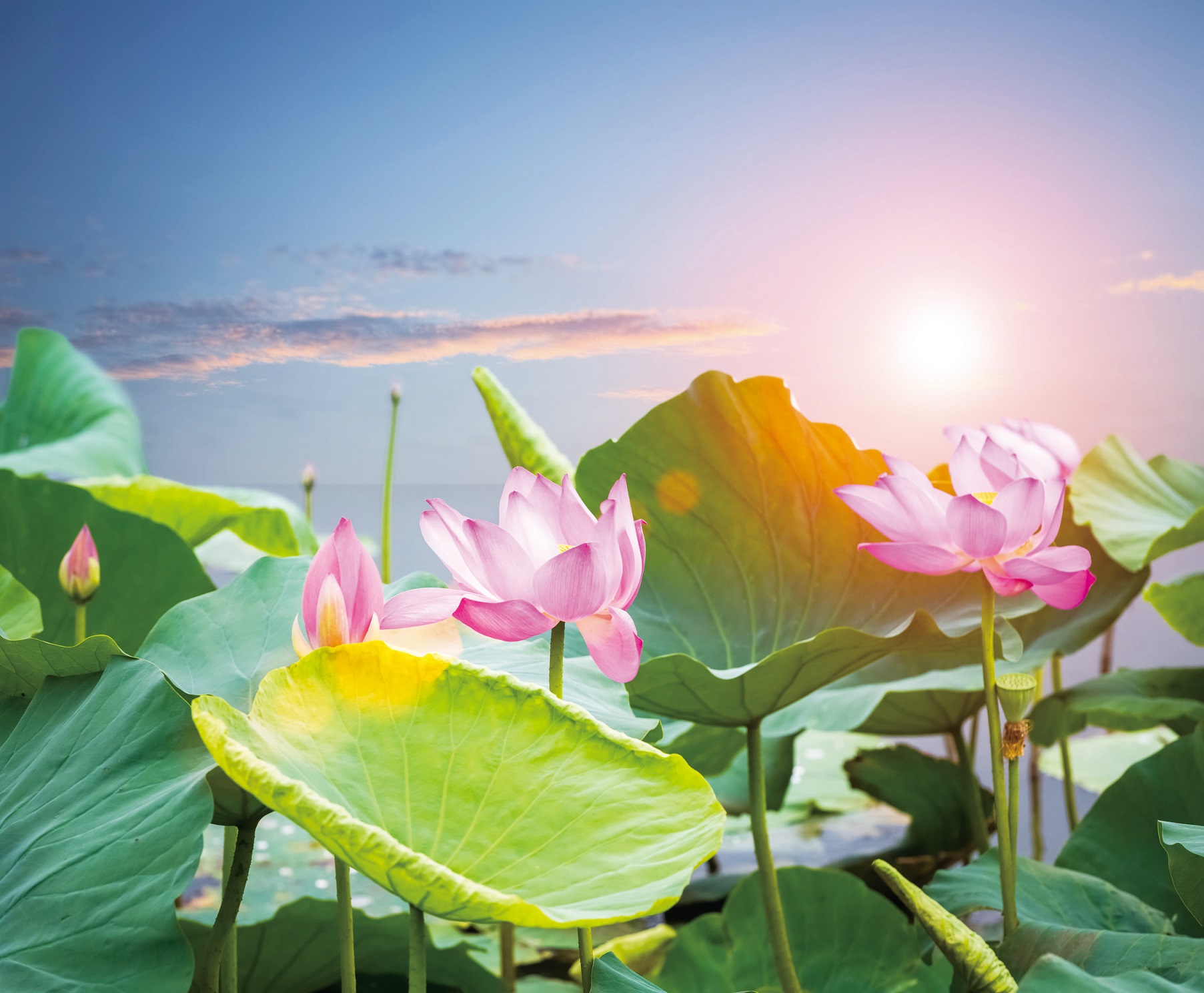 圖文提供/禪天下雜誌