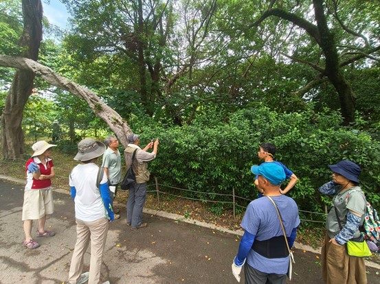 台北市公園處希望能推廣生態保育意識。圖/取自公園處