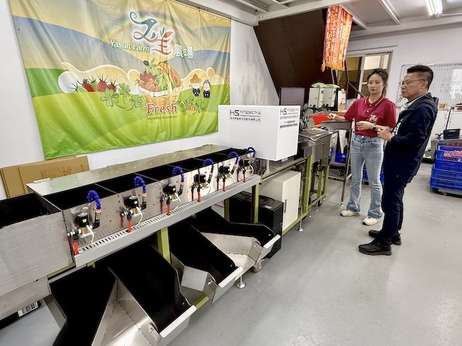 高雄市農業局導入番茄「智慧分級」系統（見圖），幫助農民選果更便利。圖／高雄市農業局提供